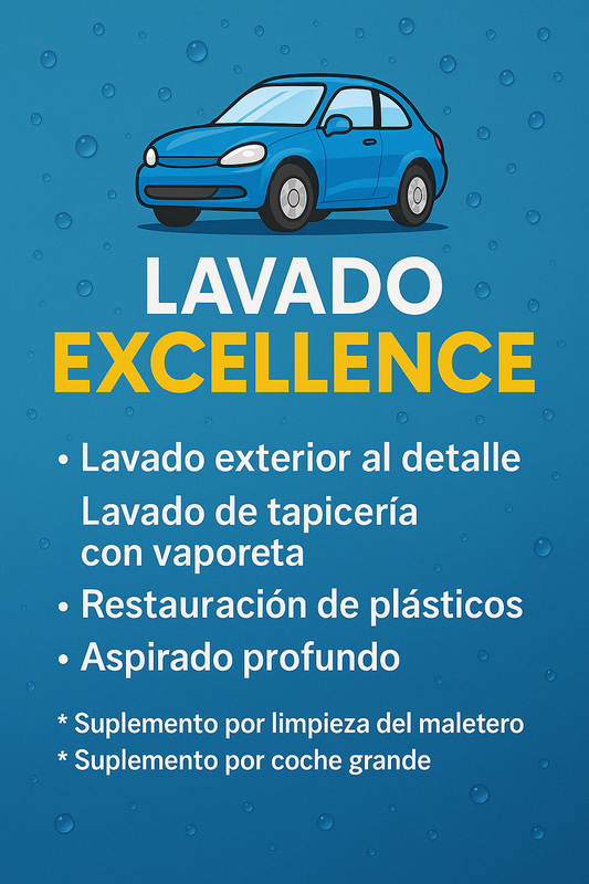 LAVADO DETALLADO EXCELENCE - Nex Wash Reus